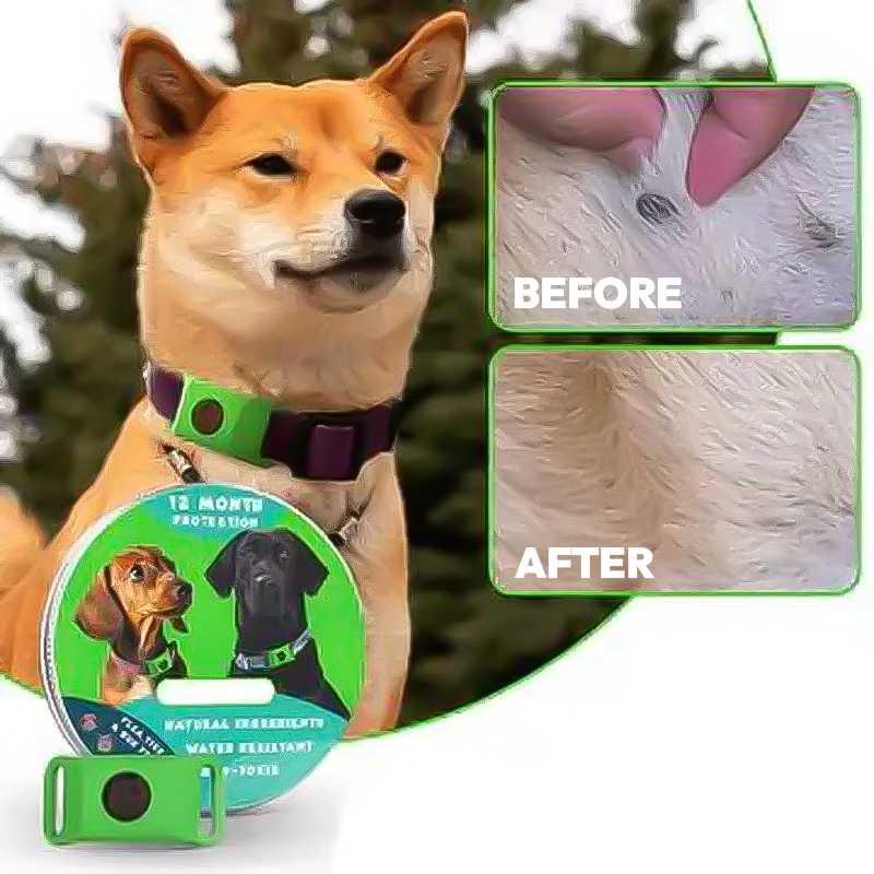 EcoPawGuard™ Flea & Tick Protection Clip