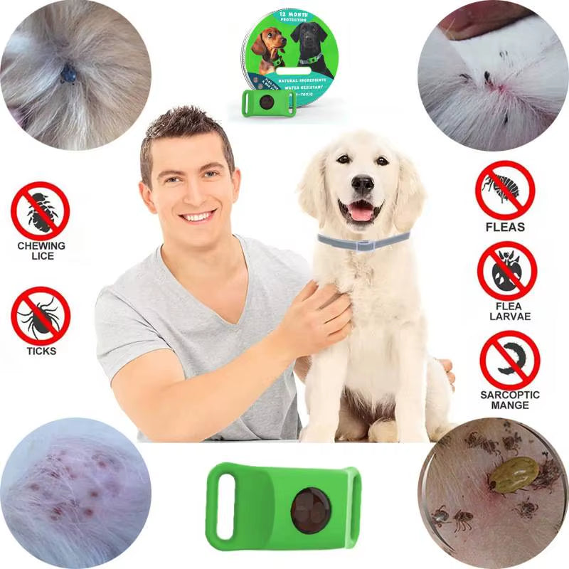 Adjustable Pet Plant Essential Oil Collar to Repel Fleas and Ticks Pet Insect Repellent Collar to Remove Fleas and Ticks